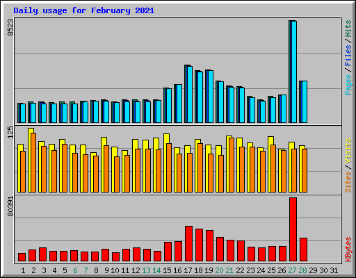 Daily usage for February 2021