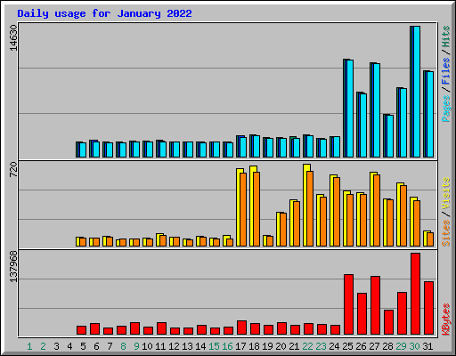 Daily usage for January 2022