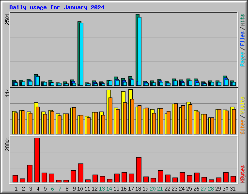 Daily usage for January 2024