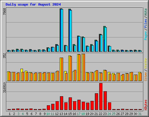 Daily usage for August 2024