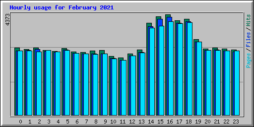 Hourly usage for February 2021