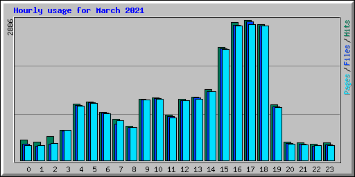 Hourly usage for March 2021