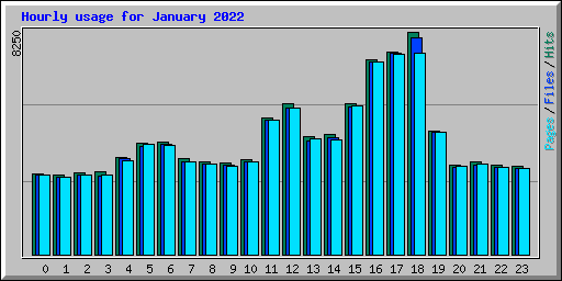 Hourly usage for January 2022