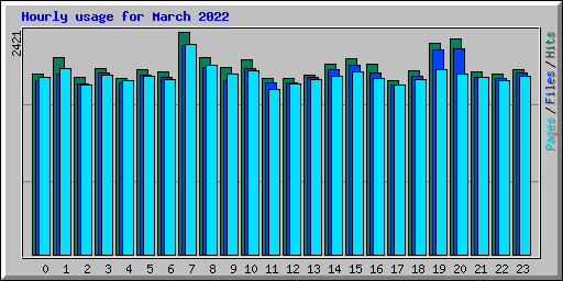 Hourly usage for March 2022