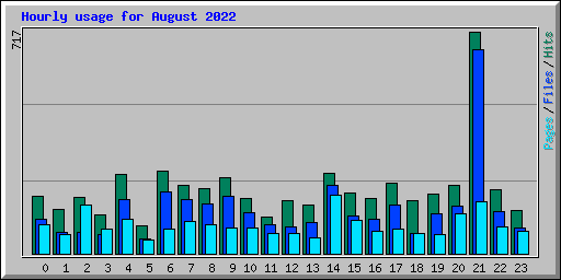 Hourly usage for August 2022