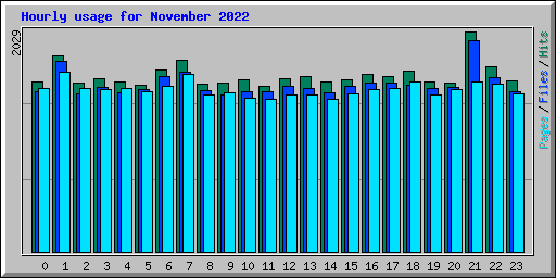 Hourly usage for November 2022