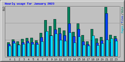 Hourly usage for January 2023