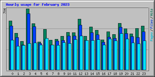 Hourly usage for February 2023