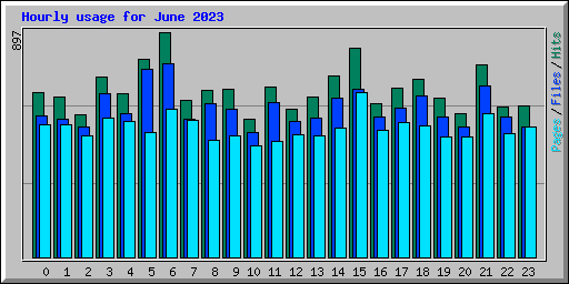 Hourly usage for June 2023