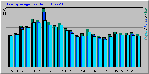 Hourly usage for August 2023