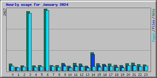 Hourly usage for January 2024