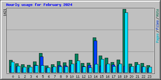 Hourly usage for February 2024