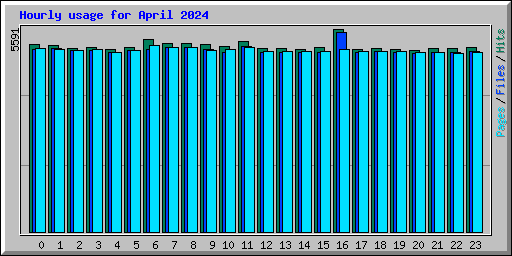 Hourly usage for April 2024