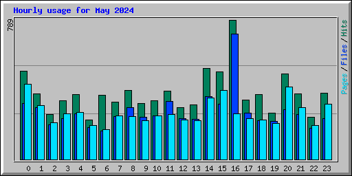 Hourly usage for May 2024