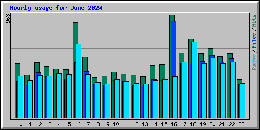 Hourly usage for June 2024