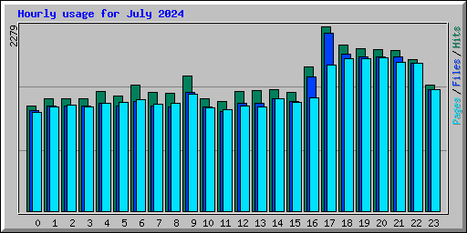 Hourly usage for July 2024