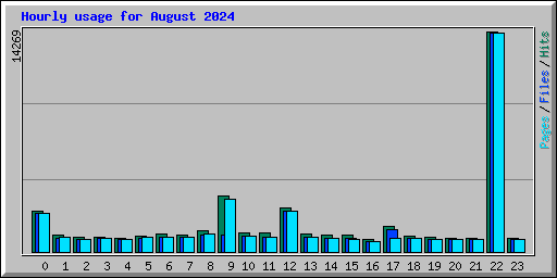 Hourly usage for August 2024