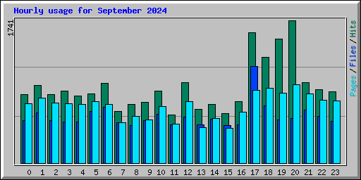 Hourly usage for September 2024