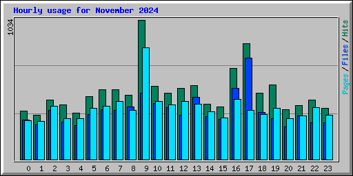 Hourly usage for November 2024