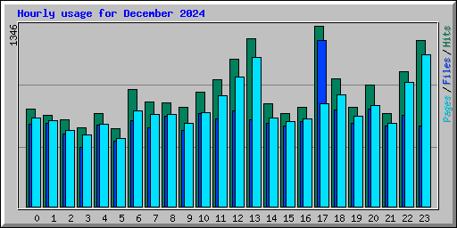 Hourly usage for December 2024