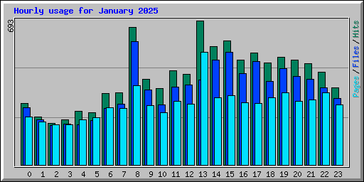 Hourly usage for January 2025