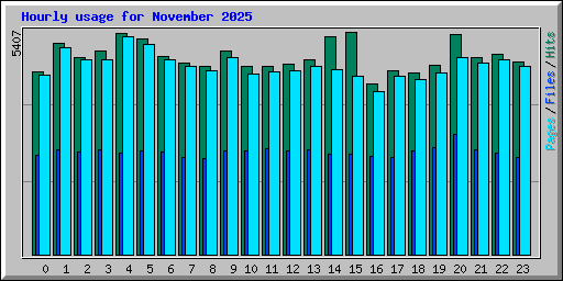 Hourly usage for November 2025
