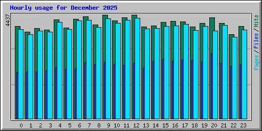 Hourly usage for December 2025
