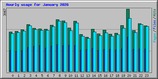 Hourly usage for January 2026