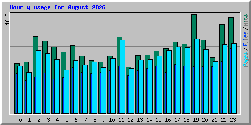 Hourly usage for August 2026